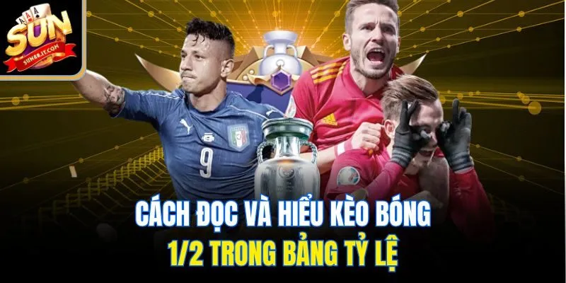 Kèo Bóng 1/2 Là Gì? Hiểu Đúng, Đặt Cược Chuẩn Để Thắng Lớn