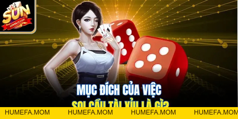 Kinh Nghiệm Soi Cầu Tài Xỉu Hiệu Quả - Áp Dụng Là Thắng