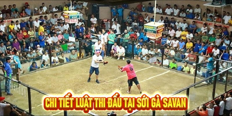 Sới gà Savan – Địa điểm diễn ra trận đấu hay Top 1 Châu Á