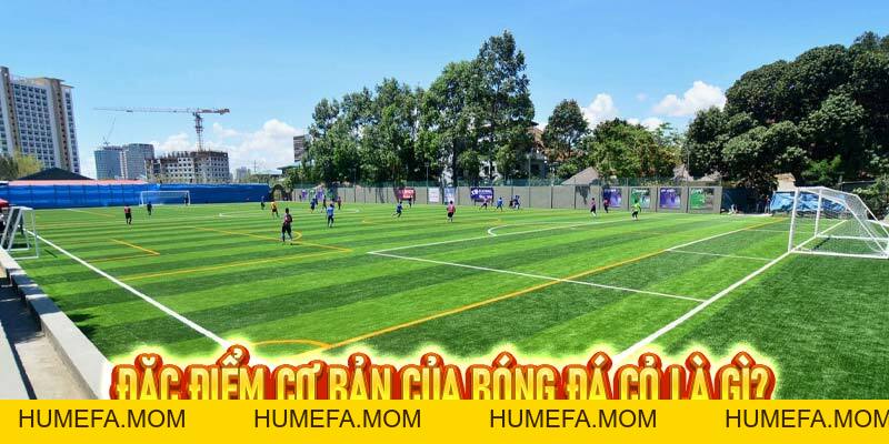 Bóng Đá Cỏ - Sức Hấp Dẫn Từ Các Trận Đấu Tại Trang Chủ S8