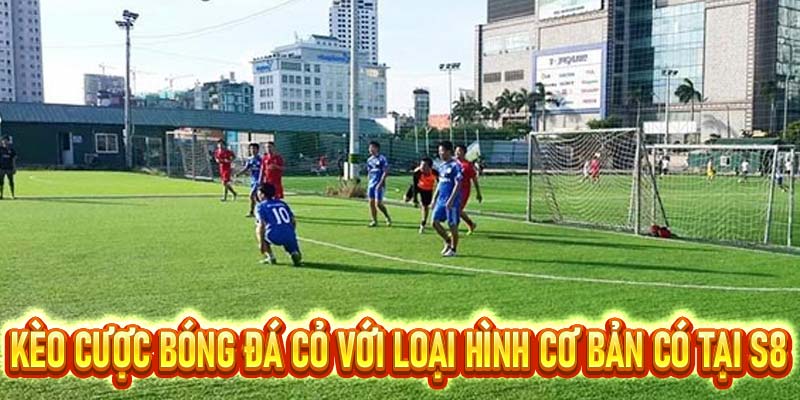 Bóng Đá Cỏ - Sức Hấp Dẫn Từ Các Trận Đấu Tại Trang Chủ S8