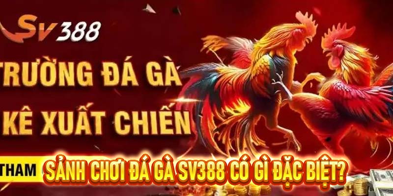 Đá Gà SV388 – Điểm Đến Lý Tưởng Cho Cho Mọi Sư Kê