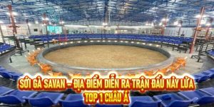 Cập Nhật Tin Tức Nhanh 24/7 Tại Nhà Cái S8
