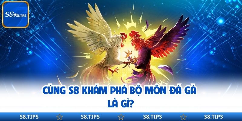 Đá Gà S8 – Nền Tảng Phát Trực Tiếp Các Trận Đấu Hấp Dẫn