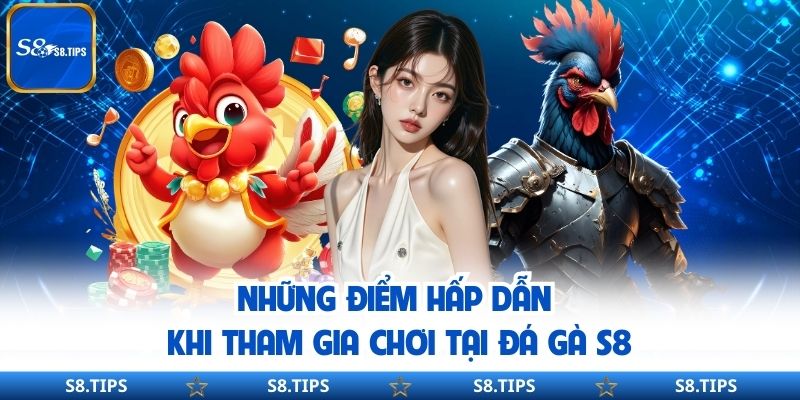 Đá Gà S8 – Nền Tảng Phát Trực Tiếp Các Trận Đấu Hấp Dẫn